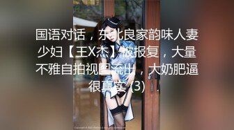 国语对话，东北良家韵味人妻少妇【王X杰】被报复，大量不雅自拍视图流出，大奶肥逼很真实 (3)