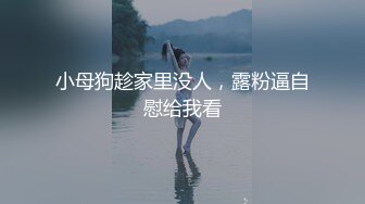 [2DF2] 太震撼了-高颜值气质性感大美女怀孕几个月了为了几千块钱还挺着个大肚子到酒店和顾客啪啪,各种姿势狠狠爆插,[MP4/103MB][BT种子]