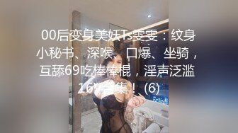 2024年8月，约啪大神最新，【OOXXBLACK】，大奶少妇，私下是主人的小骚狗，要被内射呻吟销魂