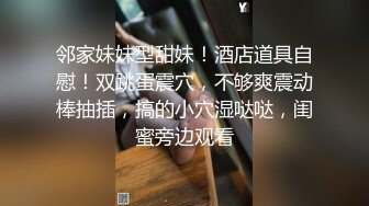 蜜桃传媒空姐的淫乱秘密 性爱玩具震动棒 湿湿的小穴