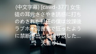 TWTP 公园女厕全景偷拍多位极品美女嘘嘘 裹胸裙妹子整理衣服奶又白又大