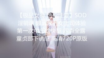 【极品女神 绝伦性爱】SOD淫销课 爆乳淫乱女上司体验第一次中出的快感 四点全露 童贞部下诱惑 高清720P原版