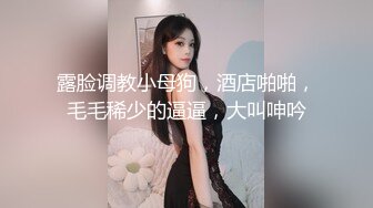 休年假的巨乳护士炮友