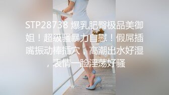 STP28738 爆乳肥臀极品美御姐！超级骚暴力自慰！假屌插嘴振动棒插穴，高潮出水好湿，表情一脸淫荡好骚