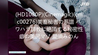 (HD1080P)(Cinemagic)(cmc00276)美畜秘書の系譜 パワハラ調教に絶頂する秘密性癖の美尻マゾ 愛須みのん