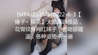 [MP4/253MB]2022-6-3【锤子丶探花】大圈高端极品，花臂纹身网红妹子，舌吻舔骚逼，各种姿势来一遍