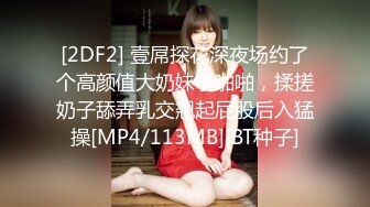 [2DF2] 壹屌探花深夜场约了个高颜值大奶妹子啪啪，揉搓奶子舔弄乳交翘起屁股后入猛操[MP4/113MB][BT种子]