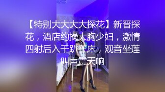 潜入商场女厕偷拍穿花短裙风韵少妇 紧致的八角形唇肉被操得发黑