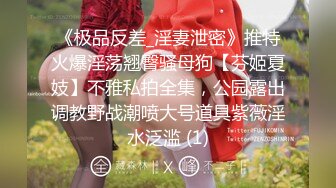 最新6月福利！推特顶级NTR绿帽奴【小气质夫妇】绝版私拍，露出爱好者绿帽成瘾老公情人三人行