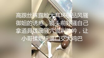 游乐场女厕两次拍到极品少妇的丰满大肥鲍 (2)