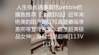 人生很长遇事莫慌pebble的摸鱼推荐『宝藏珍品』近年来绝美的国产网红写真夏羲瑶李蒽熙等整理合集，都是超美极品女神，身材也是超棒[113V] (14)