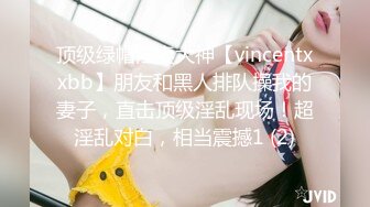 顶级绿帽淫妻大神【vincentxxbb】朋友和黑人排队操我的妻子，直击顶级淫乱现场！超淫乱对白，相当震撼1 (2)