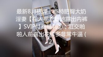 最新8月核弹！推特肥臀大奶淫妻【在人前羞耻地露出内裤】SVIP付费福利②，肛交啪啪人前露出花样多非常牛逼 (2)