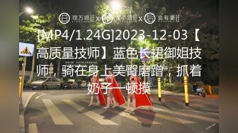 推特網黃【辭書】刺激露出自慰放尿和粉絲網友3P性愛啪啪野外露出 原版高清