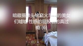 [MP4/680MB]麻豆傳媒 MDHT-0002異地旅客的身體交流-梁芸菲