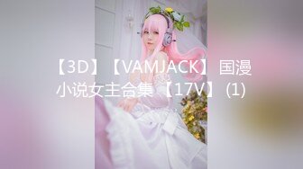 【3D】【VAMJACK】 国漫小说女主合集 【17V】 (1)