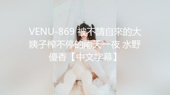 VENU-869 被不請自來的大姨子榨不停的兩天一夜 水野優香【中文字幕】