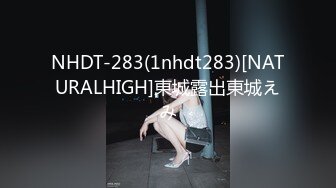 NHDT-283(1nhdt283)[NATURALHIGH]東城露出東城えみ