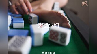 国产麻豆AV 涩会 SH011 出轨的少妇 新人女优 刘素娅