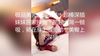 CB站极品美女Baananaswett【83V】 (39)