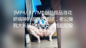 [MP4/377MB]探花志平哥酒店3000元约操刚下海的童颜妹子进入的一瞬间表情极其销魂