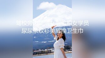 三月专业盗站流出商场座厕全景偷拍几个颜值气质美女站着擦逼逼毛性感很有撸点