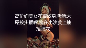 高价约美女花臂纹身,吸吮大屌按头插嘴,跪在小沙发上抽插肥穴