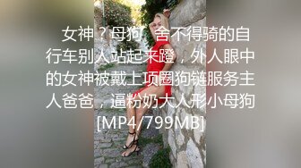 大像传媒之老闆娘的背德巨乳-啤兒