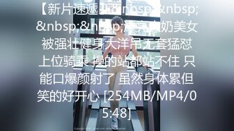 私が入れるために挿れさせる理由＜年間支払料の176％＞