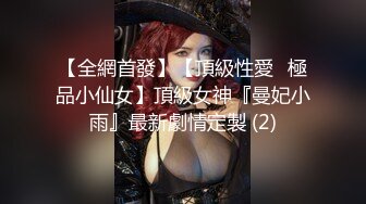 最美极品爆乳女神『香草少女』-烈焰名媛