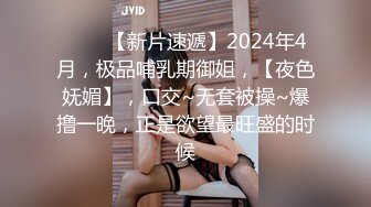 ♈♈♈【新片速遞】2024年4月，极品哺乳期御姐，【夜色妩媚】，口交~无套被操~爆撸一晚，正是欲望最旺盛的时候