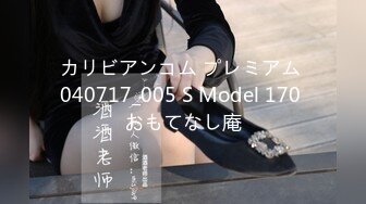 カリビアンコム プレミアム 040717_005 S Model 170 おもてなし庵