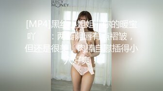 [MP4]黑丝小姐姐--你的暖宝吖❤️：两瓣阴唇有点褶皱，但还是很美，肉棒自慰插得小穴好爽！