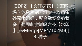 [2DF2] 【文轩探花】（第四场）休息片刻开灯，主攻苗条外围小姐姐，配合默契姿势繁多，劲爆刺激巅峰之夜【水印】_evMerge[MP4/102MB][BT种子]