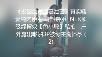 无水印源码自录--【小老师】大奶子少妇，用黄瓜插粉B，淫水直流、扣逼，合集【47V】  (27)