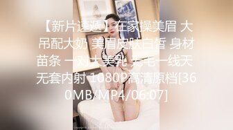 高清无水印珍藏版 高铁女神乘务员和靓丽的女乘客 (2)