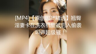 高清后插老婆